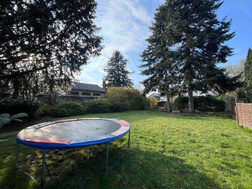 Blick in den Garten - 