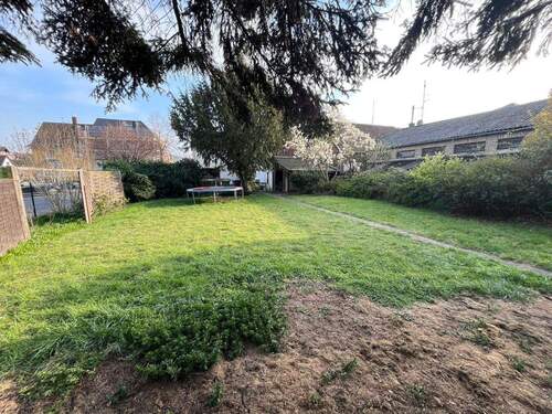 Blick in den Garten - 