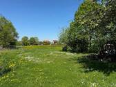 Grünfläche hinten der Scheune - 