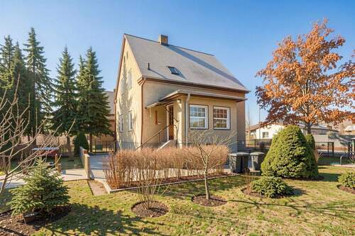 Seitenansicht - (KI optimiert) - 