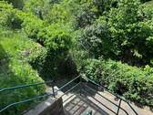 Blick auf den Garten - 