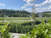 Blick von der Terrasse - 
