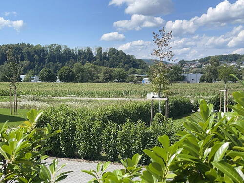 Blick von der Terrasse - 
