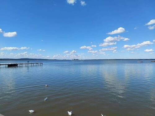 Steinhuder Meer - 
