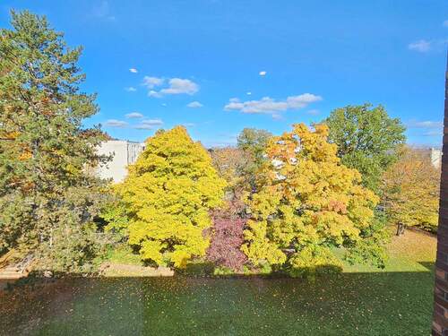 Blick ins Grüne von der Küche - Etagenwohnung mit 91,00 m&sup2; in Coburg zum Kaufen