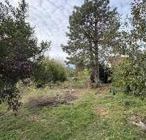 Baugrundstück in Wiedemar mit Potenzial - Ihr ScanHaus verwirklichen