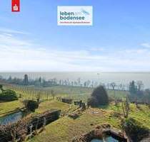 Einmalige Lage - 180° See- und Bergsicht 2,5 Zimmerwohnung - vis à vis der Insel Mainau - Meersburg