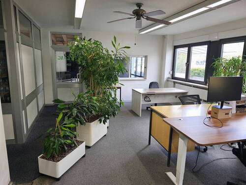 Bild 4 - Büro mit 210,00 m&sup2; in Gerhardshofen zur Miete