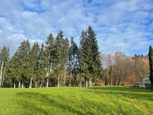 Ausblick - Grundstück in Rosenheim