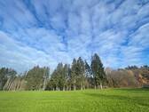 Ausblick - 