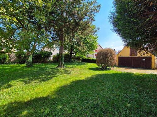 Garten mit Baumbestand.jpg - 