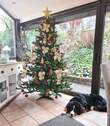Wintergarten / Wohnraum - 