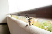 Perfekte Symbiose aus Natur und Luxus - 