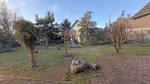 Blick in den Garten - 