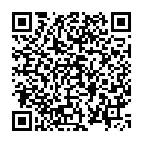 QR-Code - 