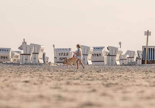 Bild 3 - 2 Zimmer Etagenwohnung in Sankt Peter-Ording