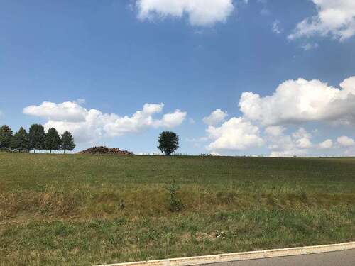 Ansicht - Grundstück in Heinsdorfergrund zum Kaufen