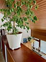 Bild 11 - 