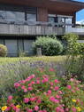 Bild 17 - 