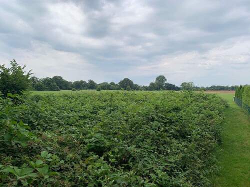 Grünfläche - Freizeitfläche für Naturliebhaber am Stadtrand