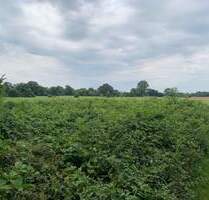 Freizeitfläche für Naturliebhaber am Stadtrand - Kaltenkirchen