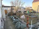 Garten - Einfamilienhaus mit 130,00 m&sup2; in Roßleben zum Kaufen