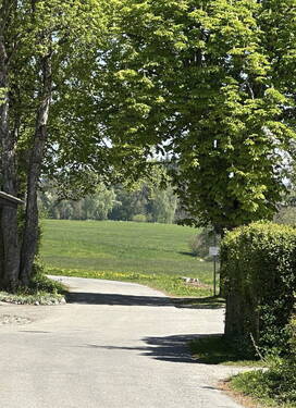 Aussicht v d Grundstücksgrenze - 