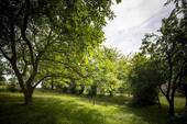 Bild 8 - 