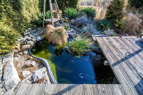 Gartenteich - 