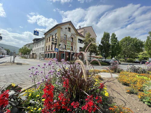 Bild 3 - 9 Zimmer Mehrfamilienhaus, Wohnhaus in Bingen am Rhein