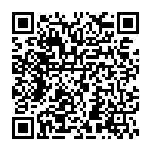 QR-Code - 