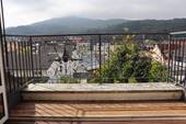 Blick über Baden-Baden - Ihre Oase in Baden-Baden mit zwei Balkonen