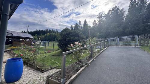 Blick Richtung Straße - 