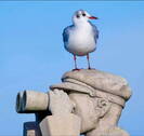 Bild 19 - 
