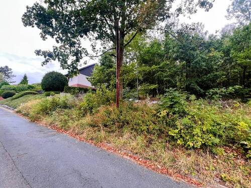 Straßenansicht-3 - Grundstück in schöner Hanglage von Wolfshagen