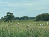 Bild 13 - 