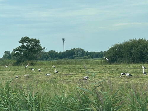 Bild 13 - 