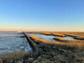 Bild 15 - 