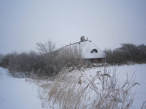Bild 8 - 