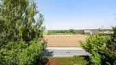 Ausblick - 