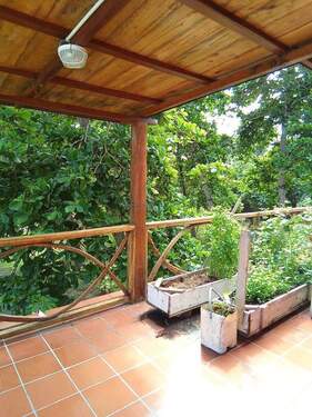 Platz für Küchenkräuter - 