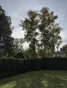 Bild 17 - 