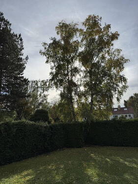 Bild 17 - 