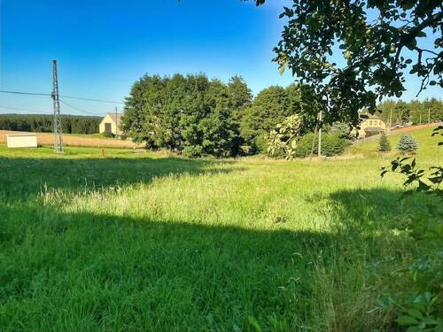 Wiesewiese mit Blick zum Teich - 