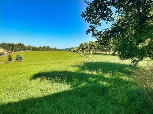 Wiese hinterm Hof mit Blick zum Wald - 