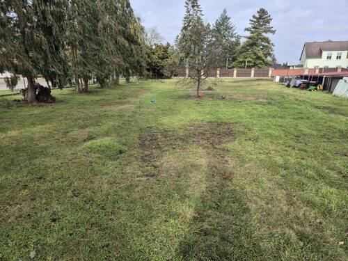 Ansicht 3 - Grundstück in Bad Freienwalde (Oder)