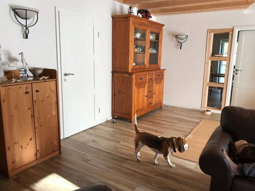 Bild 15 - 