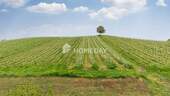 Ausblick - 