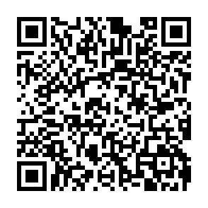 QR-Code - 
