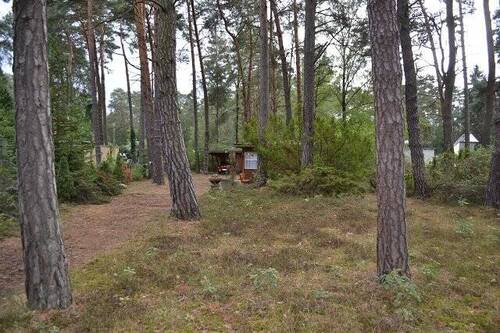 Ansicht 4 - Grundstück in Michendorf zum Kaufen